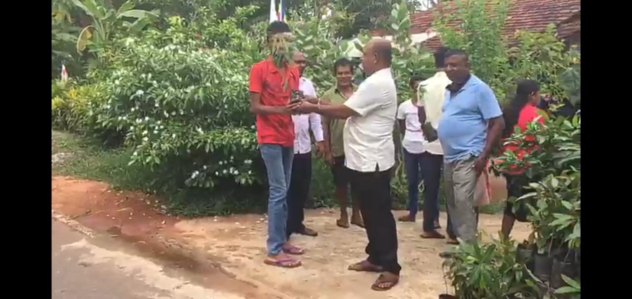 Mango Saplings Distribution - Wijepura